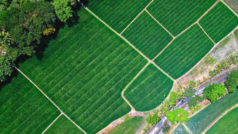 Buy Land – A Smart Investment with High Returns