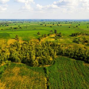 Beach side property 2