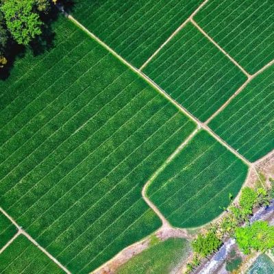 Buy Land – A Smart Investment with High Returns