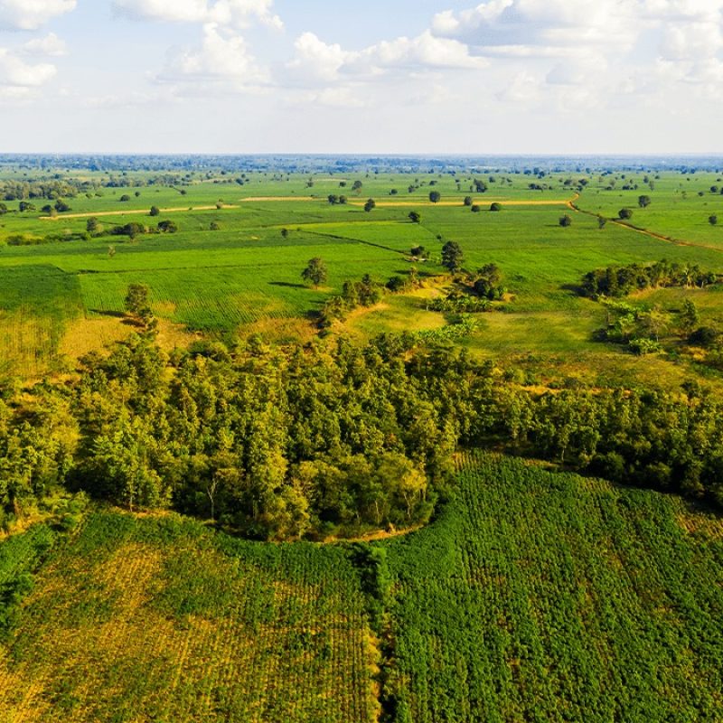 Beach side property 2